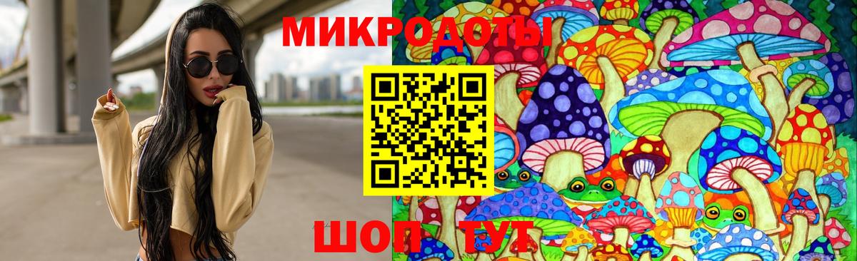 Псилоцибиновые грибы Cubensis Уварово